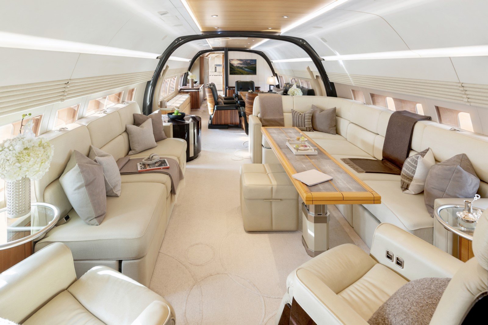 Private jet representing global corporate services and international business
